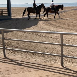 Meet your Posher, Galina